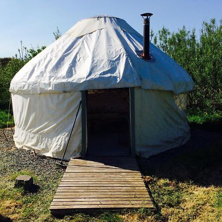 Mill Haven Place Glamping-Yurt 2 哈佛威斯特 外观 照片