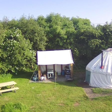 Mill Haven Place Glamping-Yurt 2 哈佛威斯特 外观 照片