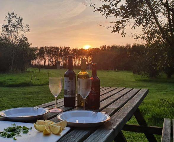 Mill Haven Place Glamping-Yurt 2 哈佛威斯特 外观 照片
