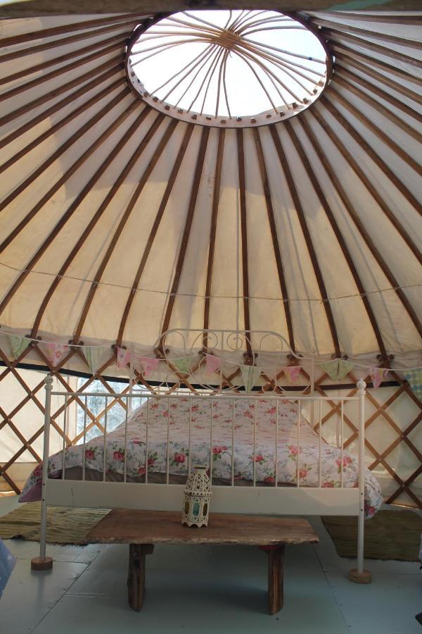 Mill Haven Place Glamping-Yurt 2 哈佛威斯特 外观 照片