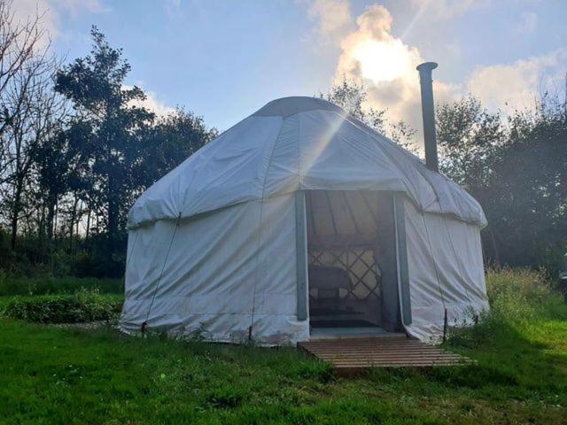 Mill Haven Place Glamping-Yurt 2 哈佛威斯特 外观 照片