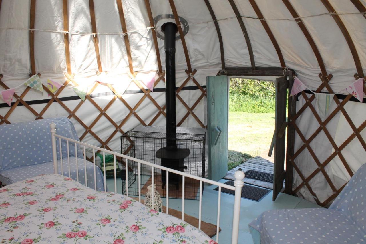 Mill Haven Place Glamping-Yurt 2 哈佛威斯特 外观 照片