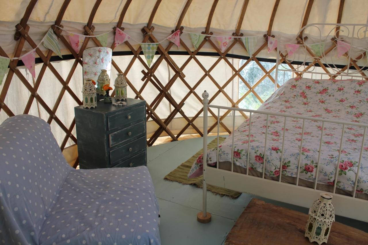 Mill Haven Place Glamping-Yurt 2 哈佛威斯特 外观 照片